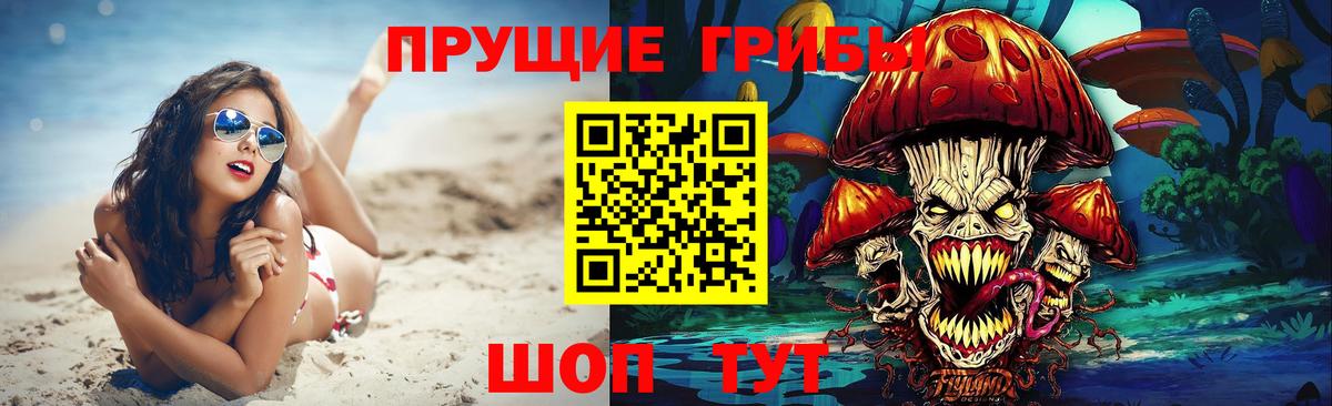 Псилоцибиновые грибы прущие грибы Знаменск