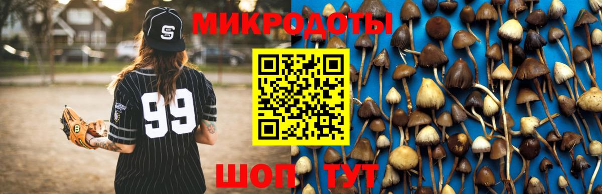 Галлюциногенные грибы Psilocybe  Псилоцибиновые грибы мицелий  Знаменск  Вход с VPN 